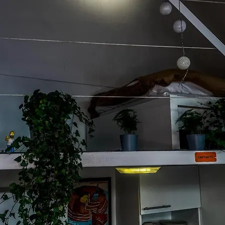 Loft Design, Proximite *
